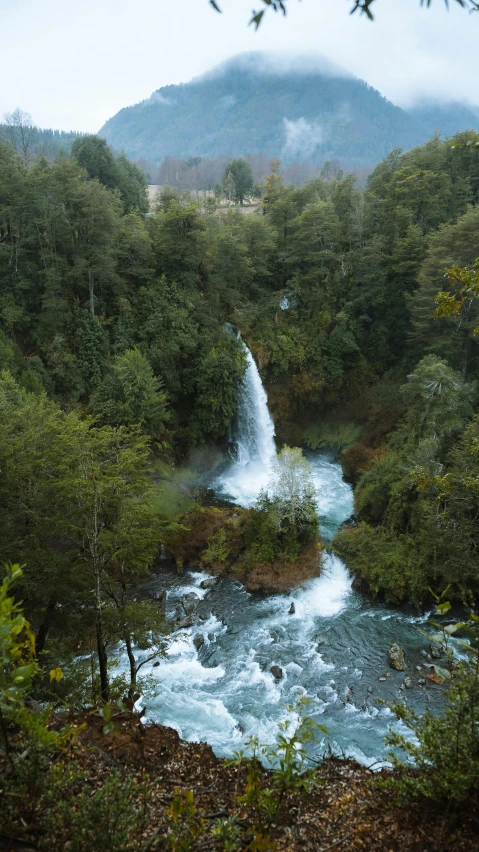 a waterfall flowing through a lush green forest, hurufiyya, chile, high view, where a large, high res 8k