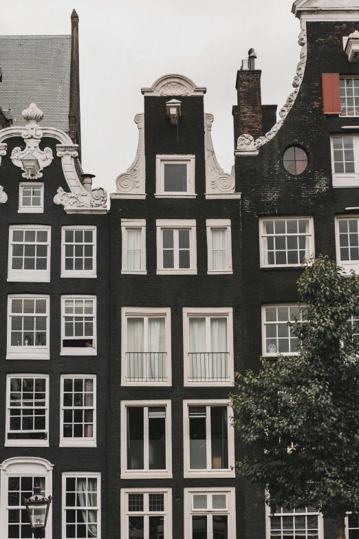 a black and white photo of a row of buildings, by Jacob Koninck, pexels contest winner, art nouveau, baroque color palette, dutch style, a quaint, dark sienna and white