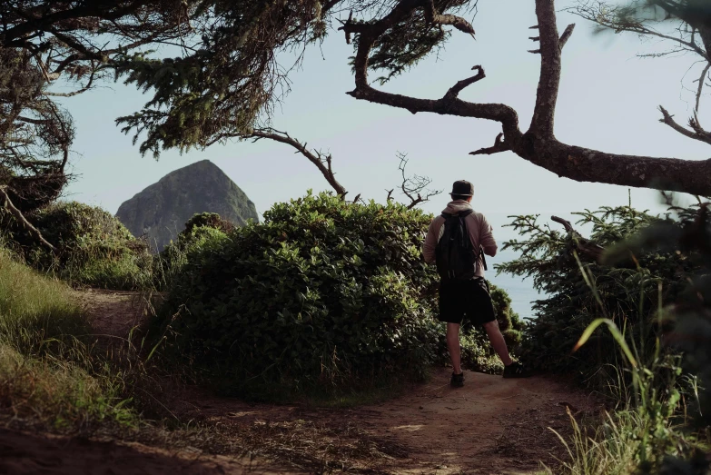 a man with a backpack is walking on a trail, by Carey Morris, unsplash contest winner, kauai springtime, thumbnail, looking around a corner, te pae