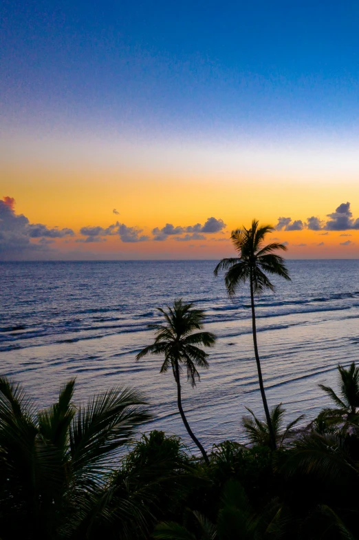 a beach at sunset with palm trees in the foreground, varadero beach, zoomed out view, looking out