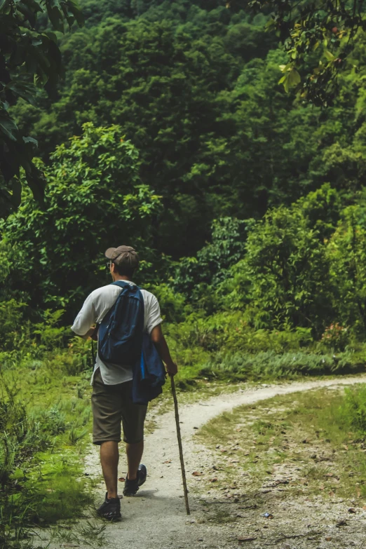 a man with a backpack walking down a dirt road, unsplash, renaissance, jungle in background, hiking cane, lush green, college