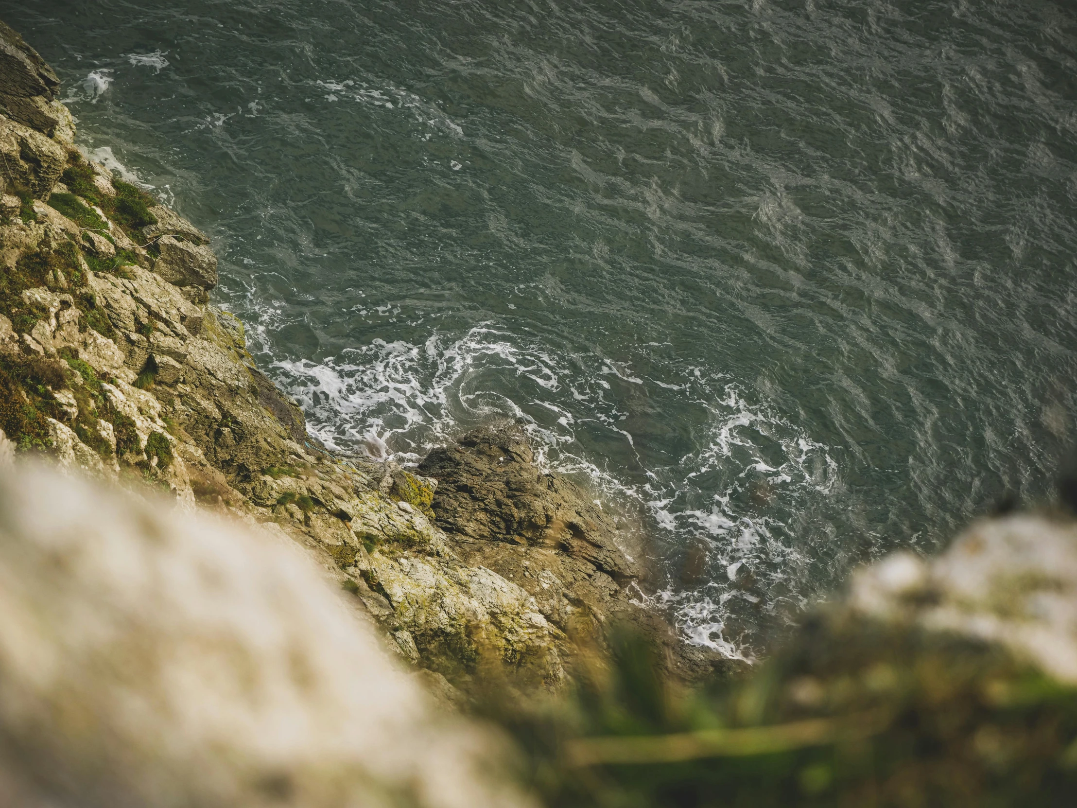 a bird sitting on top of a cliff next to the ocean, by Daniel Seghers, pexels contest winner, top-down view, rough water, pembrokeshire, low detail