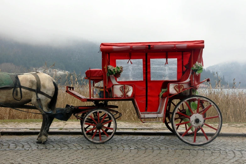 a horse drawn carriage on a cobblestone road, red and white color scheme, square, gui guimaraes, profile image