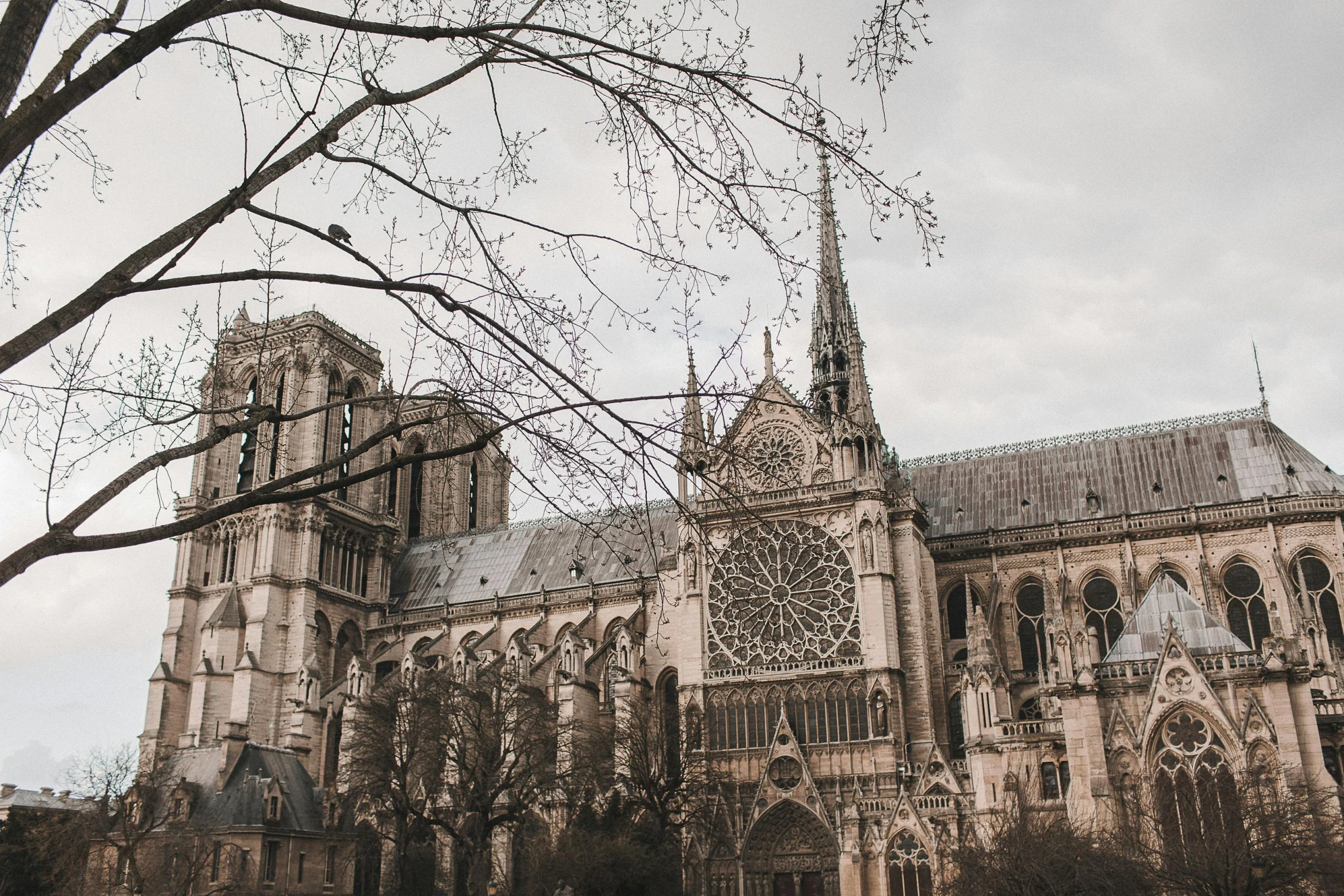 a large cathedral with a clock on it's side, a photo, by Andrée Ruellan, pexels contest winner, 🚿🗝📝, gustave doré style, city buildings on top of trees, andre le notre