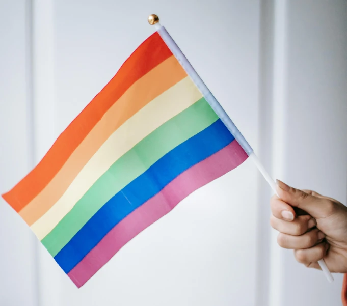 a person holding a rainbow flag in their hand, trending on pexels, hurufiyya, holding wand, on a pale background, on a wooden desk, owen gent