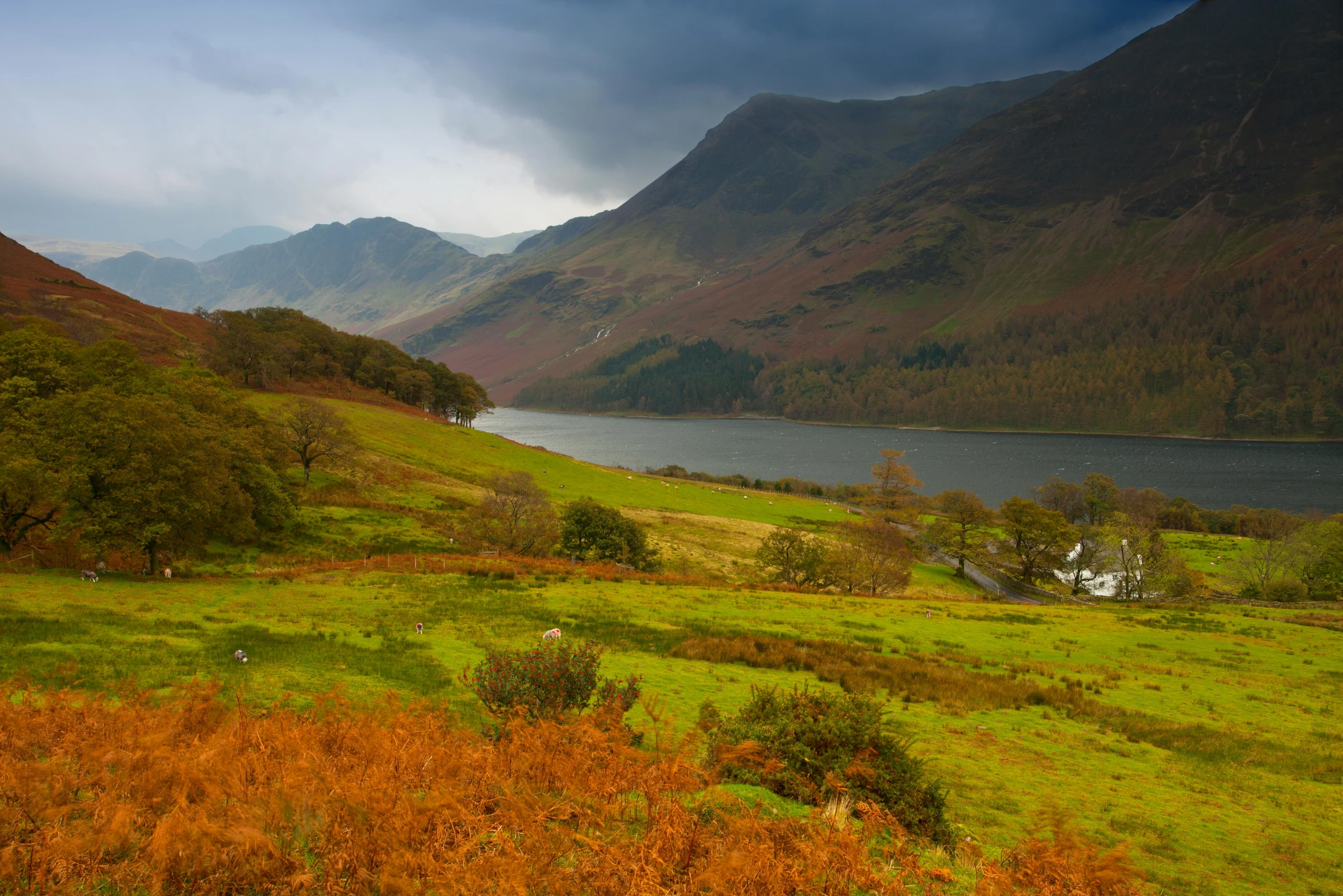 a large body of water sitting on top of a lush green field, by Kev Walker, pexels contest winner, autumn mountains, terraced, linden trees, rain lit