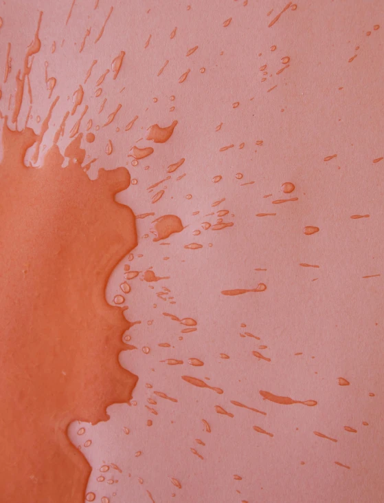 a close up of a paint splatter on a wall, inspired by Helen Frankenthaler, trending on unsplash, flowing salmon-colored silk, alessio albi, detailed product image, wet clay