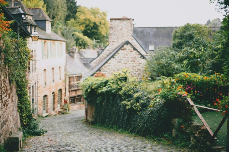 a cobblestone road with a stone building in the background, inspired by Jeanne du Maurier, pexels contest winner, arts and crafts movement, several cottages, lush greenery, vibrant but dreary gold, hygge