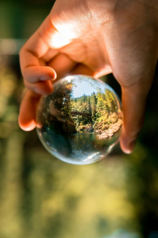 a person holding a crystal ball in their hand, lush surroundings, boreal forest, instagram post, rotating