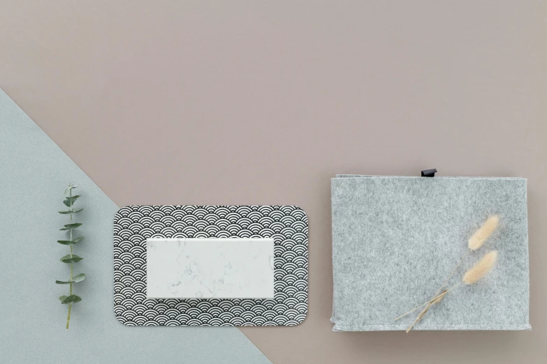 a piece of paper sitting on top of a table next to a plant, inspired by Frederick Hammersley, minimalism, granite, lacey accessories, sakura, grey