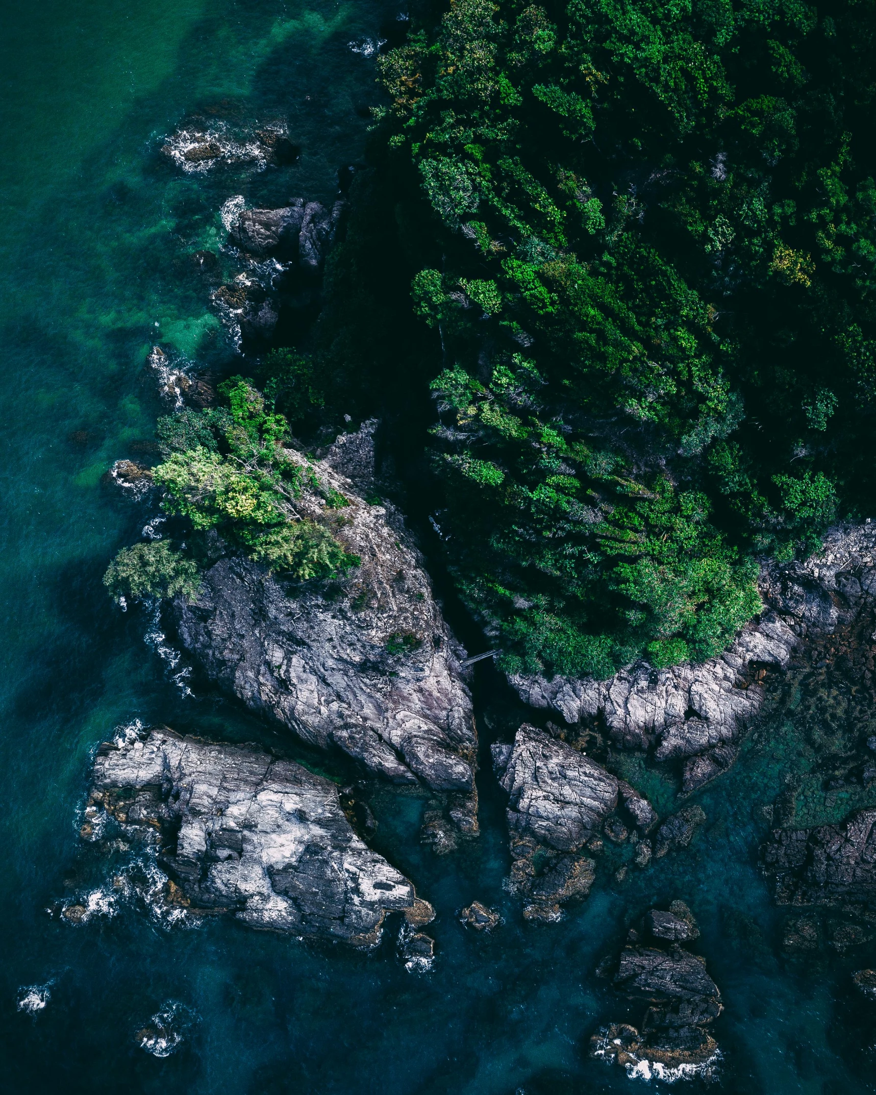 an aerial view of a body of water surrounded by trees, inspired by Elsa Bleda, pexels contest winner, sumatraism, high rocks, green sea, today\'s featured photograph 4k, light and dark