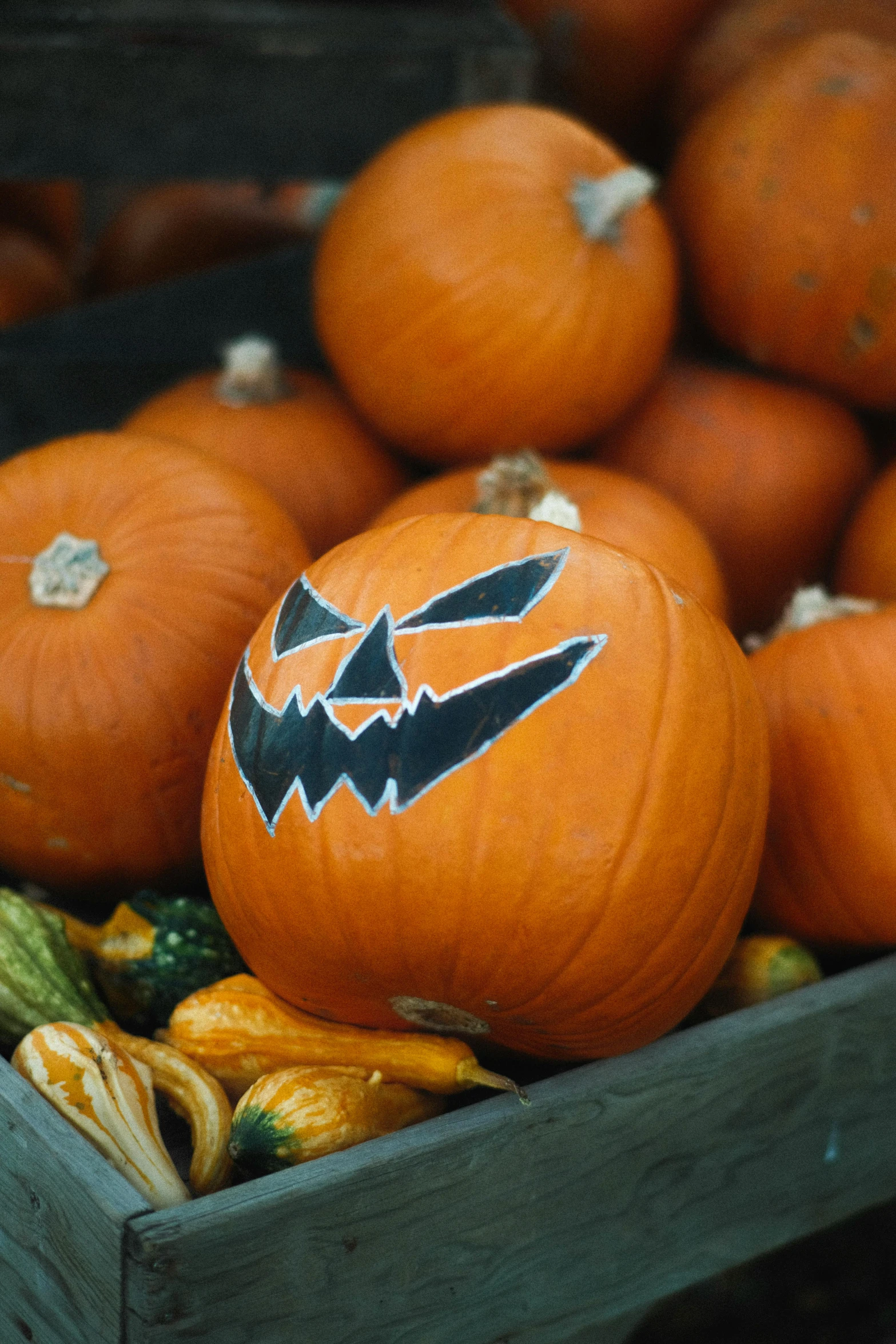 a wooden crate filled with pumpkins and gourds, a cartoon, pexels, auto-destructive art, evil face, square, close-up photograph, chalk