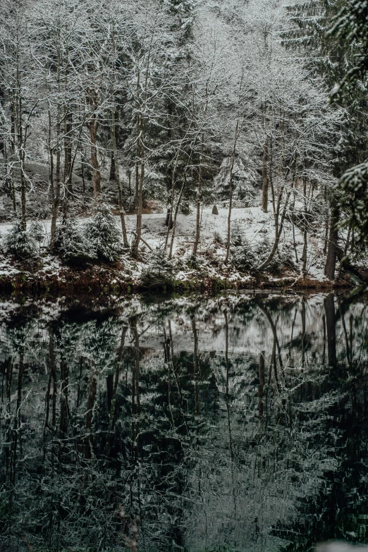 a body of water surrounded by trees covered in snow, a picture, pexels contest winner, tonalism, water reflection!!!!!, panorama, william penn state forest, intricate environment - n 9