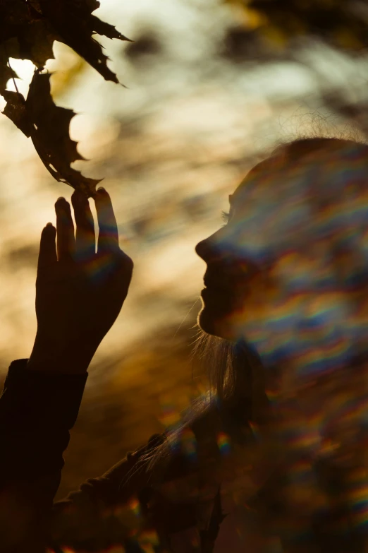 a silhouette of a woman holding a branch of a tree, by David Donaldson, pexels contest winner, reflected light, autumn bokeh, profile image, person made out of glass