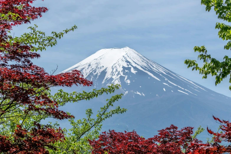 a view of a snow capped mountain through the trees, inspired by Kanō Shōsenin, trending on unsplash, pyramid surrounded with greenery, 🚿🗝📝