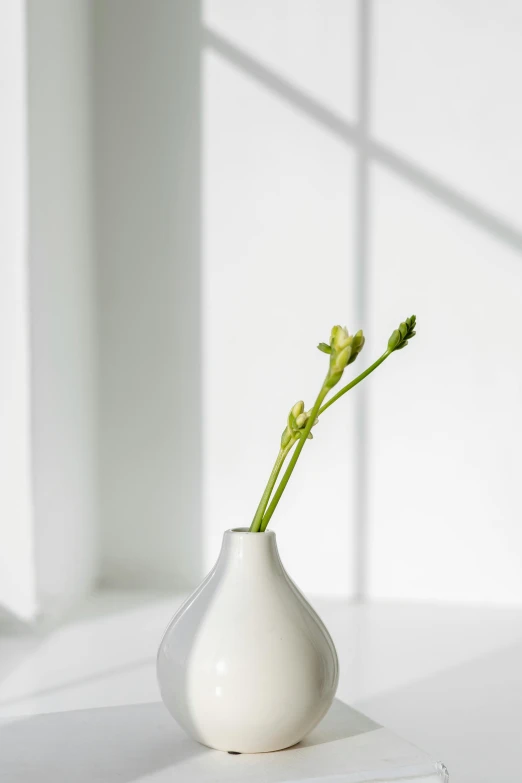 a white vase sitting on top of a white table, inspired by jeonseok lee, unsplash, light grey mist, close-up product photo, small crown, botanicals
