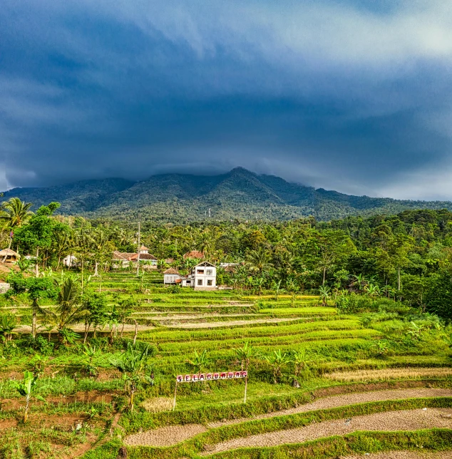 a rice field with a mountain in the background, by Daren Bader, pexels contest winner, sumatraism, staggered terraces, slide show, late afternoon light, monsoon on tropical island