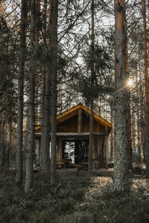 a small cabin in the middle of a forest, inspired by Einar Hakonarson, unsplash contest winner, renaissance, ((forest)), russia, full sun, grey