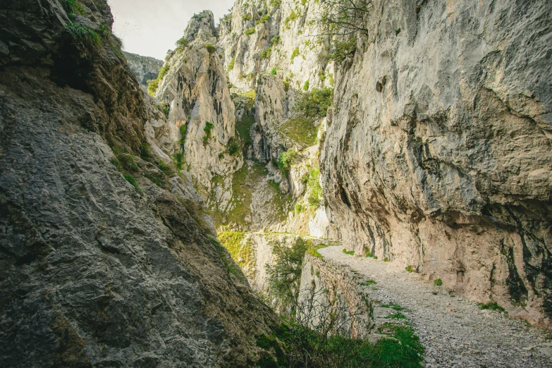 a person riding a bike through a narrow canyon, les nabis, nature photo, greek, thumbnail, high textured