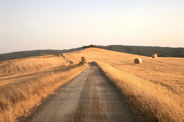 a dirt road in a field with hay bales, by Francesco Furini, pexels contest winner, renaissance, 2 5 6 x 2 5 6 pixels, john pawson, with rolling hills, pasta