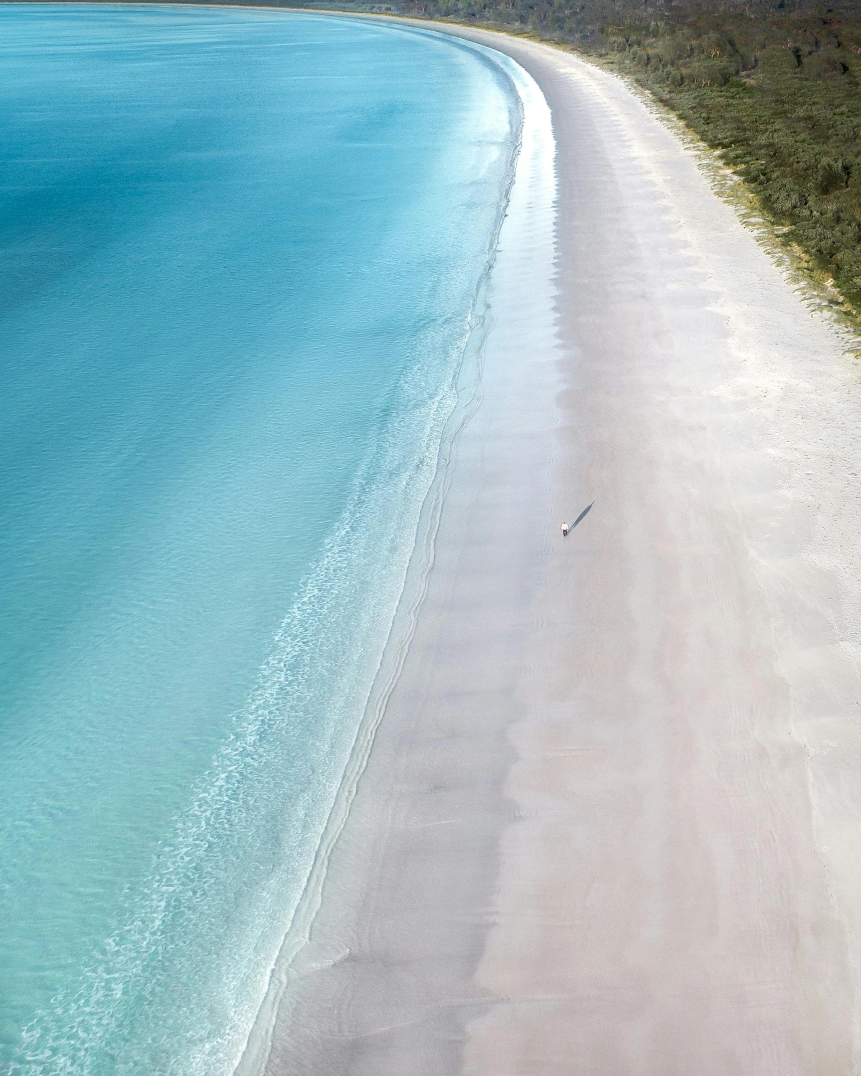 a large body of water next to a sandy beach, flat lay, white sand, myrtle, beautiful surroundings