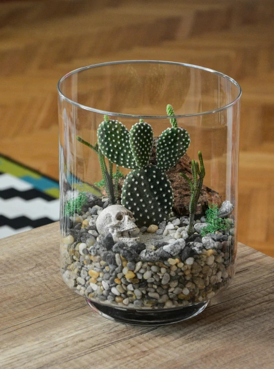 a cactus plant in a glass vase on a table, inspired by Hendrik Gerritsz Pot, dribble, vanitas, with lots of dark grey rocks, single aztec skull, lush surroundings, biodome