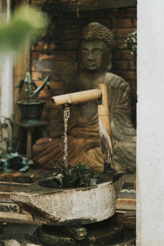 a buddha statue sitting next to a potted plant, fountain, made of bamboo, vintage aesthetic, promo image