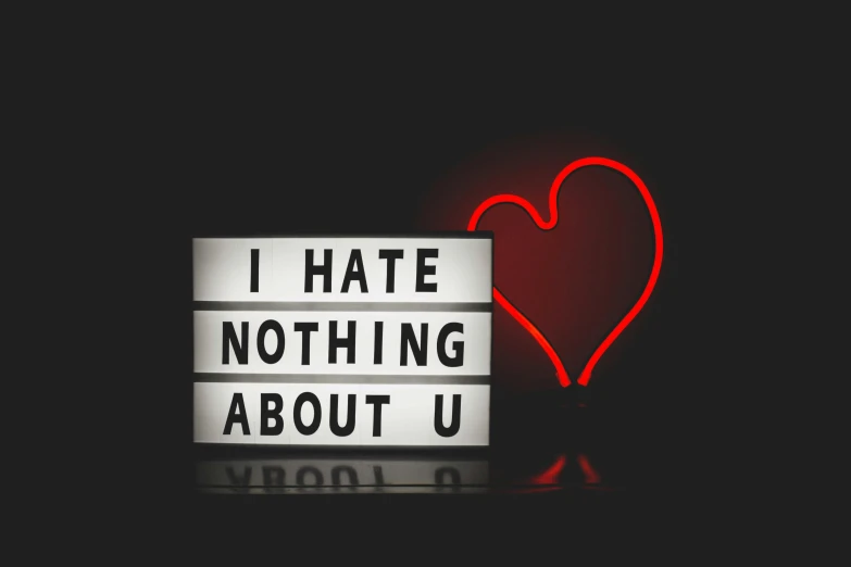 a sign that says i hate nothing about it, by Julia Pishtar, light box, hearts, led, u
