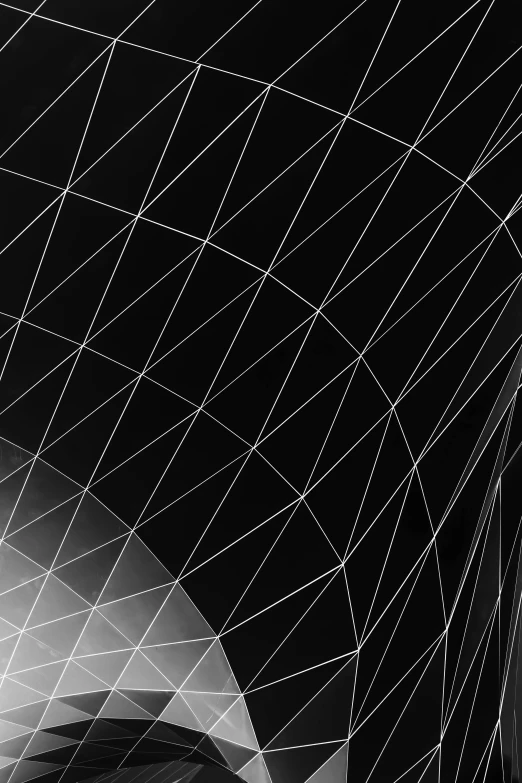 a black and white photo of a woman's face, an abstract drawing, inspired by Gao Cen, unsplash, light and space, geodesic architecture, illuminated glowing lines, gradient and patterns wallpaper, square lines