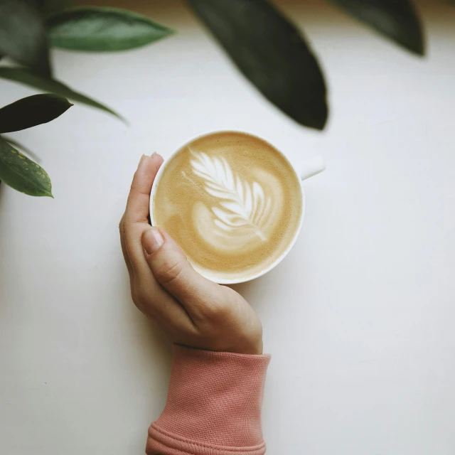 a person holding a cup of coffee on a table, palm body, perfectly poised, promo image, light cream and white colors