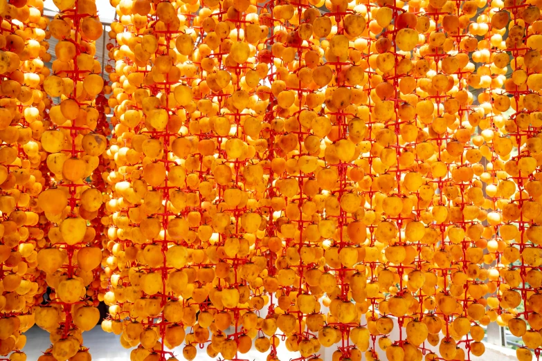 a bunch of orange beads hanging from a ceiling, hurufiyya, shan shui, 64x64, shrooms, panels