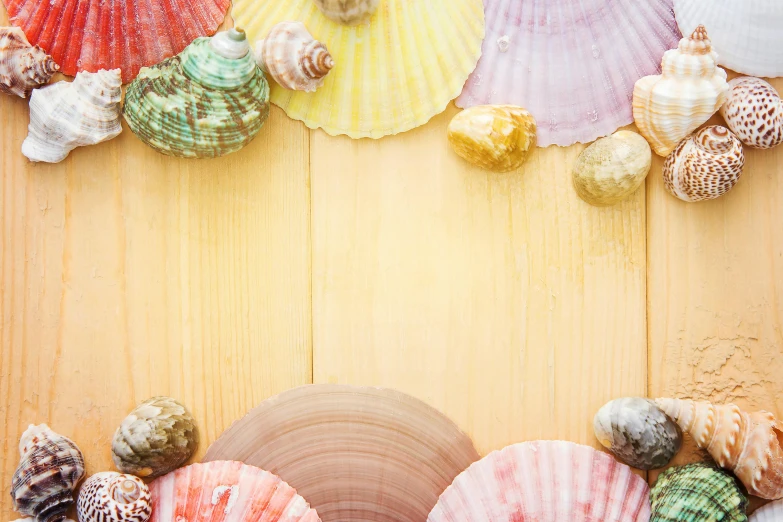 a wooden table topped with lots of different types of seashells, by Elaine Hamilton, trending on pexels, colourful background, halo halo halo halo 8k, cardboard, 2 5 6 x 2 5 6 pixels