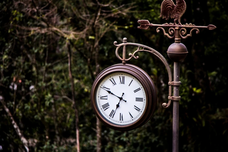 a clock sitting on top of a metal pole, a portrait, unsplash, gardening, brown, sign, profile image