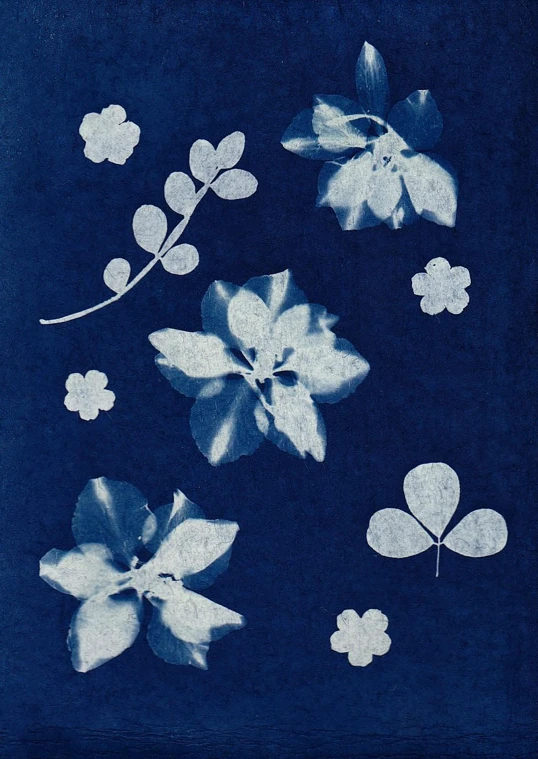 a blue and white photo of flowers and leaves, a silk screen, inspired by Saitō Kiyoshi, snapchat photo, clover, thumbnail, 1860