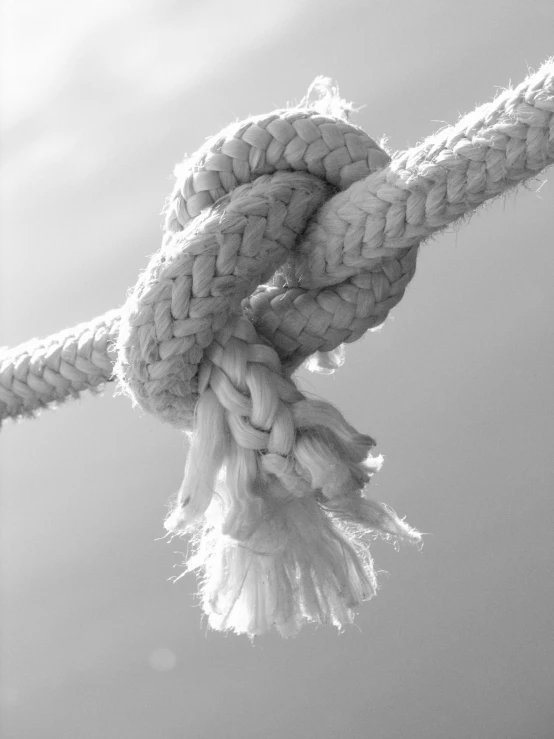 a black and white photo of a knot on a rope, julian ope, high detail”