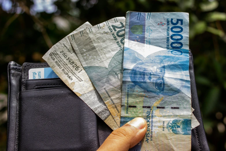 a person holding a wallet full of money, a portrait, by Sam Dillemans, pexels contest winner, visual art, philippines, thumbnail, three quater notes, split in half