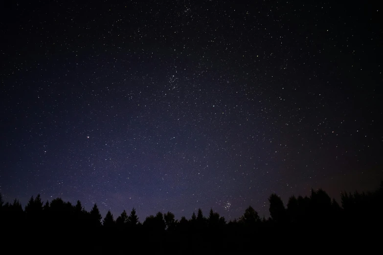 a night sky filled with lots of stars, pexels, realism, dark pine trees, rectangle, brown, dark