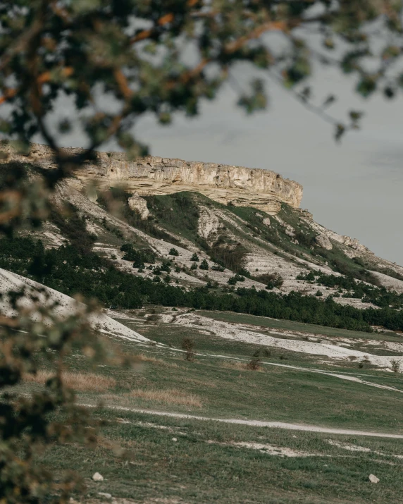 a couple of horses standing on top of a lush green field, unsplash contest winner, romanesque, white travertine terraces, in the distance is a rocky hill, low quality photo, сastle on the rock