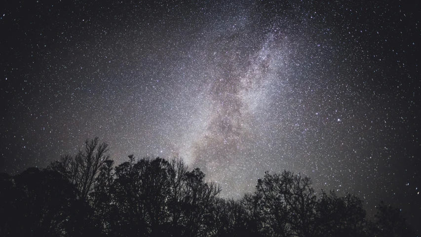 a night sky filled with lots of stars, by Andrew Allan, pexels, trees and stars background, grey, the milk way, rectangle