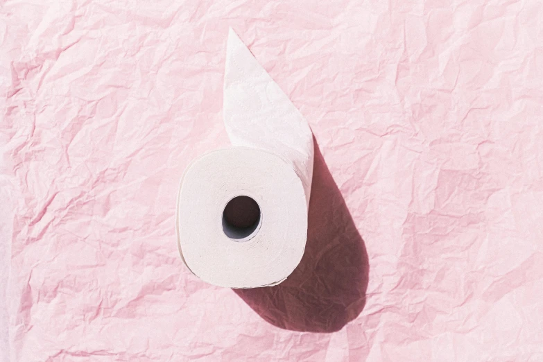 a roll of toilet paper on a pink background, by Julia Pishtar, trending on pexels, muscle tissue, beautifully daylight, ignant, sasai ukon masanao