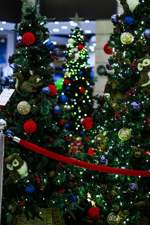 a couple of christmas trees sitting next to each other, up close, exhibit, mall background, thumbnail
