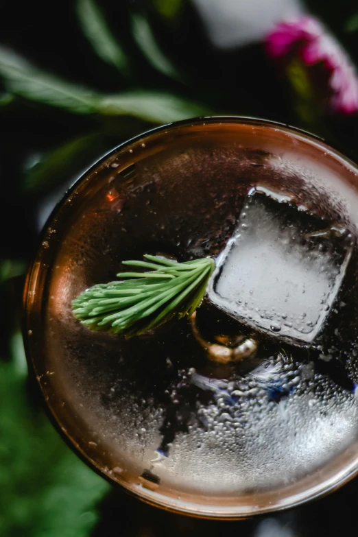 a close up of a drink with ice and a sprig of rosemary, a portrait, inspired by Ndoc Martini, trending on unsplash, renaissance, “ iron bark, black fir, f / 1 1. 0, resin