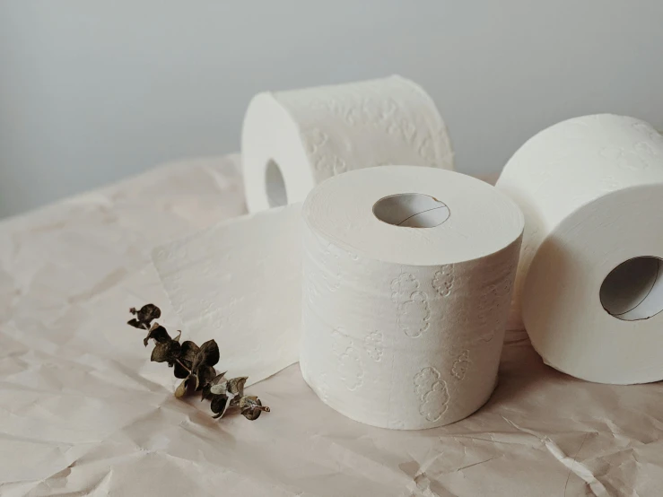 two rolls of toilet paper sitting on top of a table, pexels contest winner, plasticien, botanical herbarium paper, ceramics, circle, high quality photo