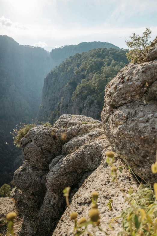 a couple of people standing on top of a mountain, les nabis, deep crevices of stone, lush surroundings, grey