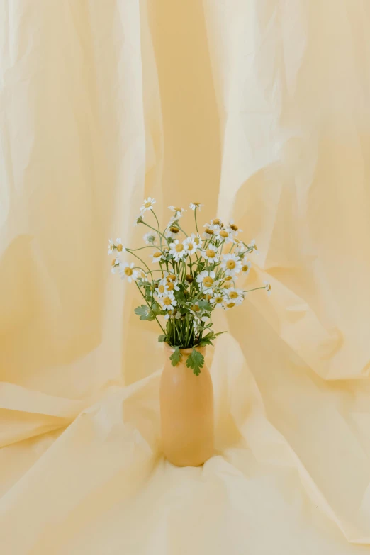 a vase with some white flowers in it, yellow backdrop, soft aesthetic, full product shot, seasonal