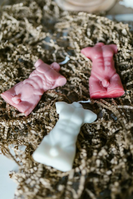 a couple of soaps sitting on top of a table, human torso, hanging, 6 pack, man bear pig