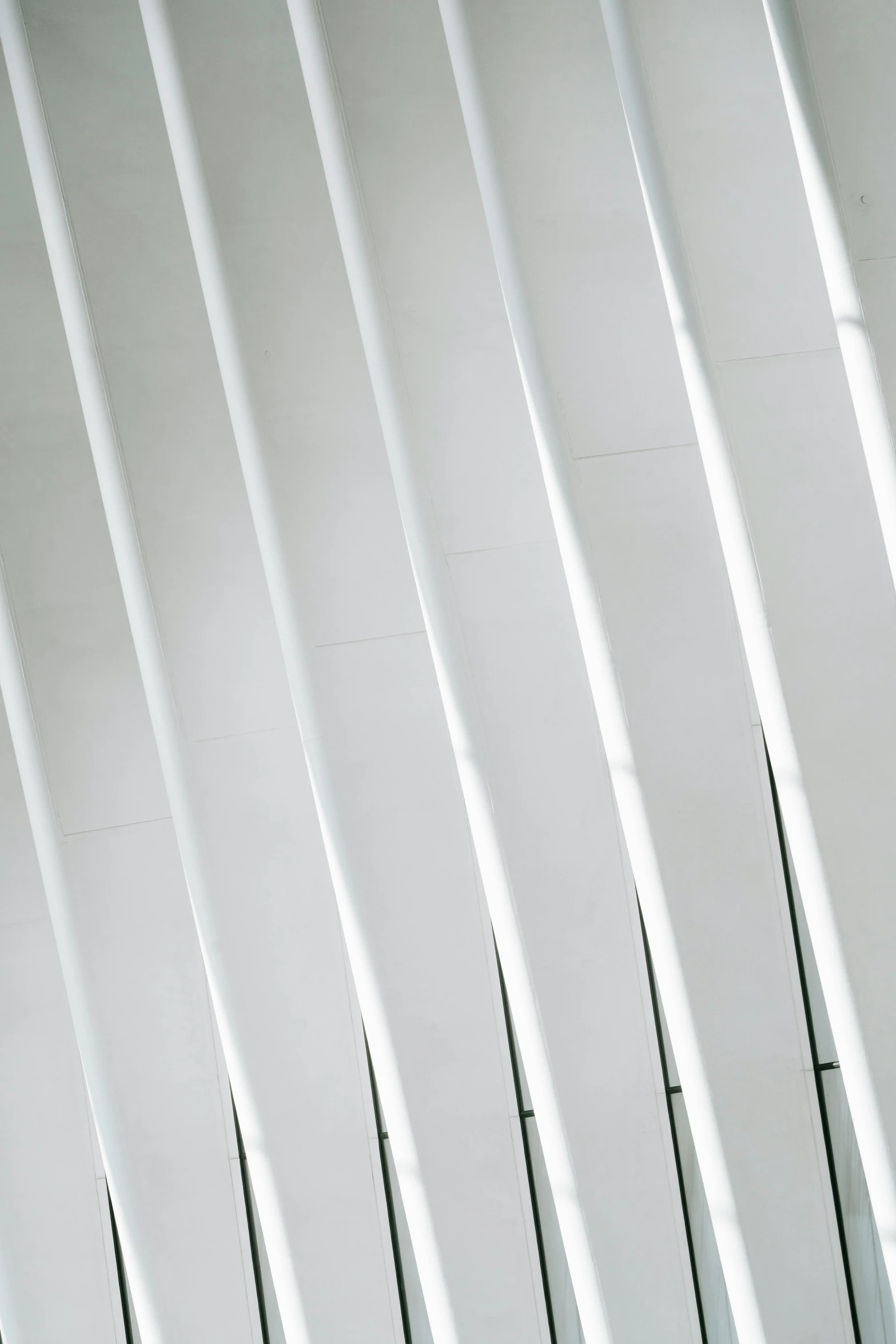 a black and white photo of the inside of a building, inspired by Zaha Hadid, pexels contest winner, white picket fence, sleek spines, colour photograph, abstract detail