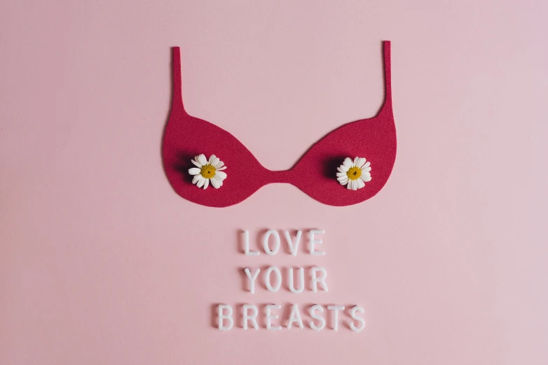 a close up of a bra with flowers on it, an album cover, trending on pexels, pink body, high resolution. positive vibes, implants, love craft