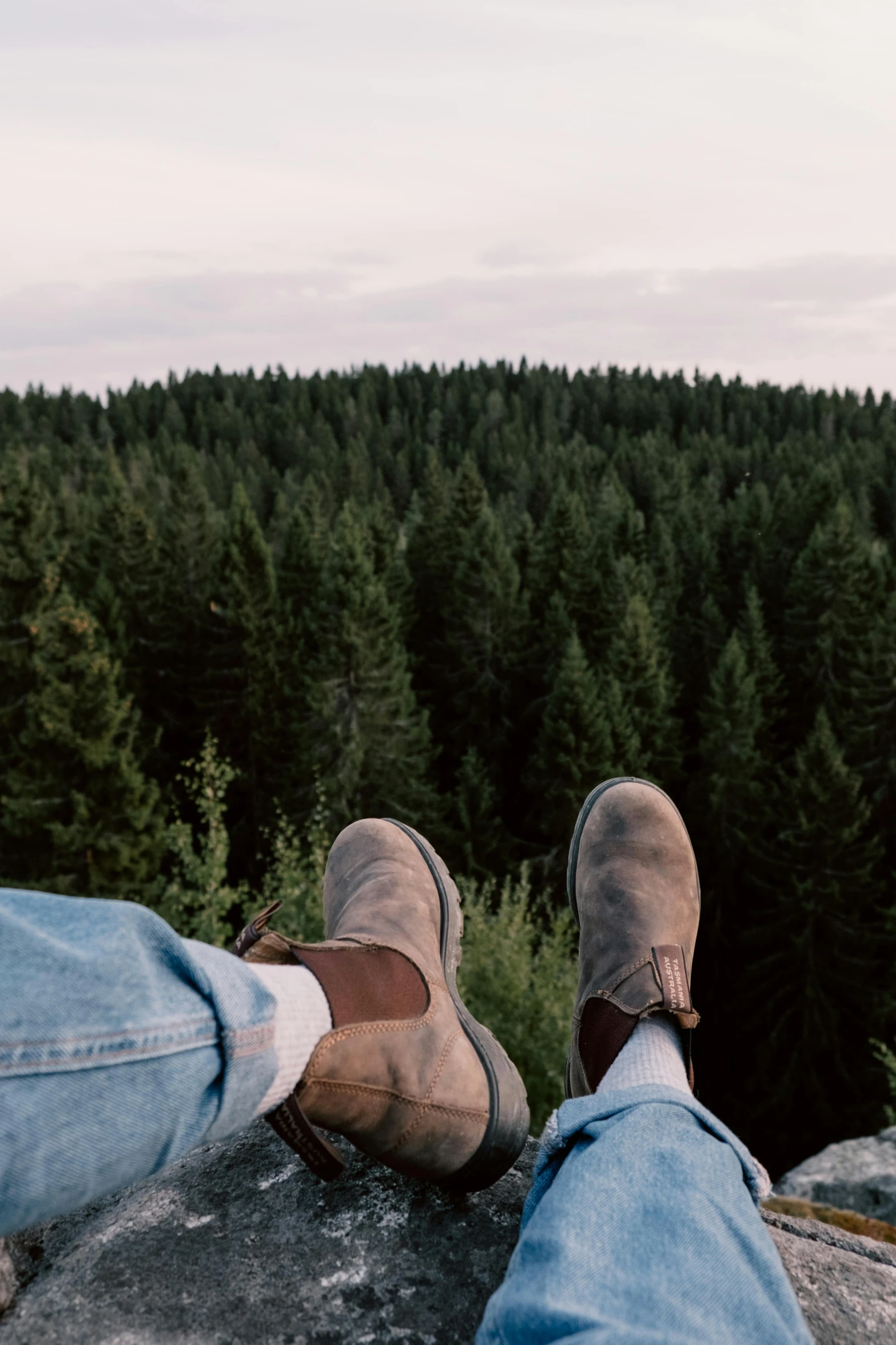 a person sitting on top of a rock next to a forest, slippers, lush evergreen forest, best friends, overlooking