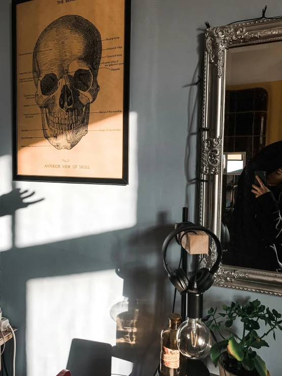 a man that is standing in front of a mirror, poster art, pexels contest winner, gothic art, human skull, 1 9 2 0 s room, beistle halloween decor, natural light outside